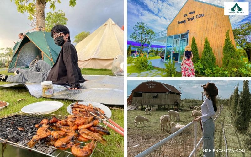TOP 6 địa điểm cắm trại Bạc Liêu cực chill, lý tưởng nhất 8 Cà phê trang trại cừu Bạc Liêu - Điểm cắm trại Bạc Liêu hấp dẫn