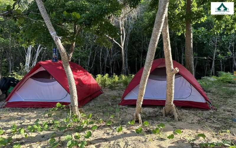 TOP 5+ địa điểm cắm trại Cà Mau độc đáo, hấp dẫn không bỏ qua 9 Vườn quốc gia U Minh Hạ