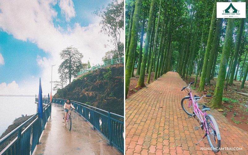 Kinh nghiệm cắm trại Đảo Ó Đồng Nai từ A đến Z 10 Trải nghiệm dạo bộ và đạp xe quanh đảo Ó Đồng Nai