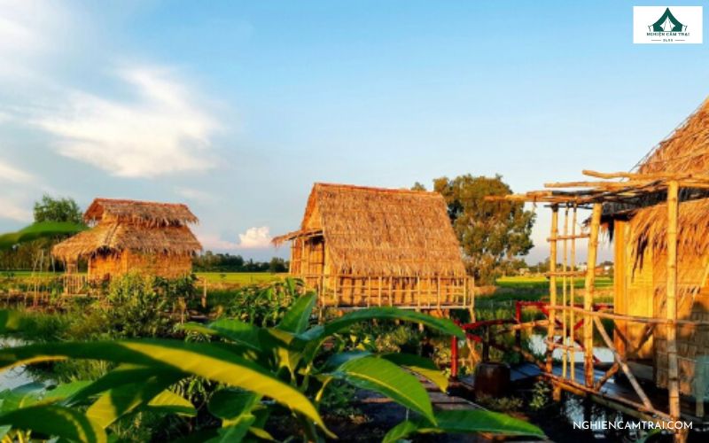 Top điểm cắm trại Đồng Tháp cực chill đáng trải nghiệm 12 Việt Mekong Farmstay là điểm lý tưởng cho những ai yêu thích trải nghiệm cắm trại Đồng Tháp