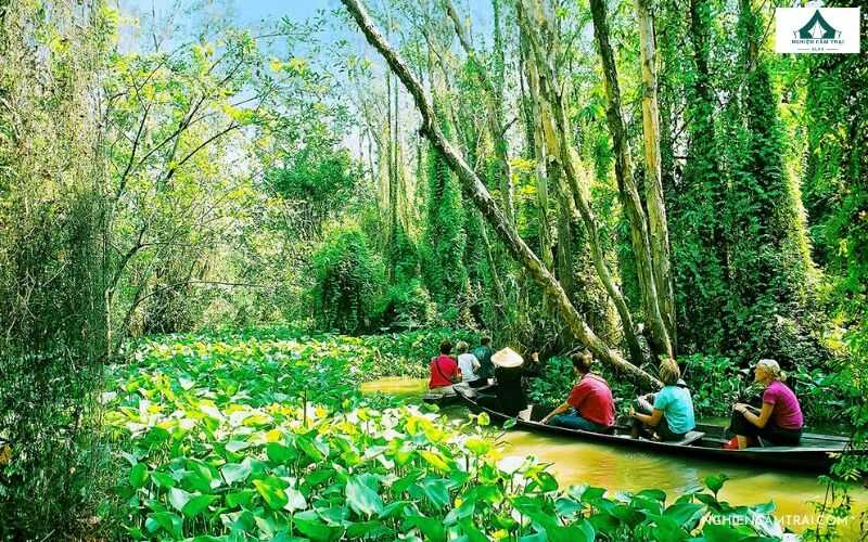Top điểm cắm trại Đồng Tháp cực chill đáng trải nghiệm 8 Khu du lịch sinh thái Gáo Giồng