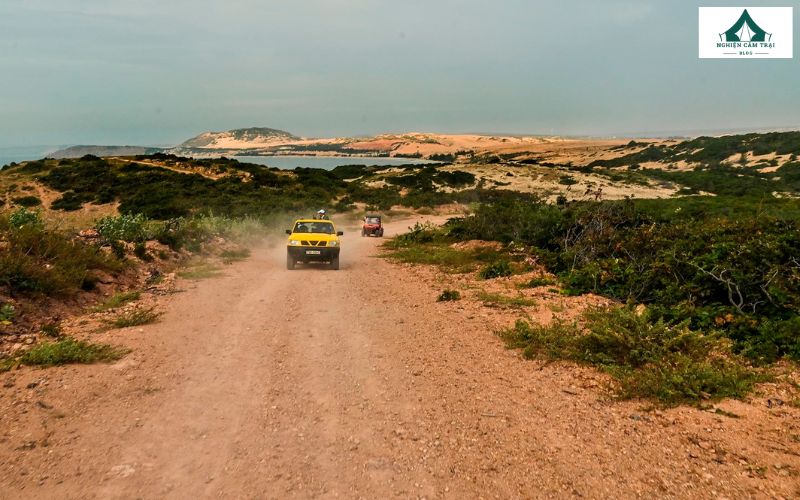 Mũi Yến là thiên đường check-in với vô số background tự nhiên đẹp mê hồn