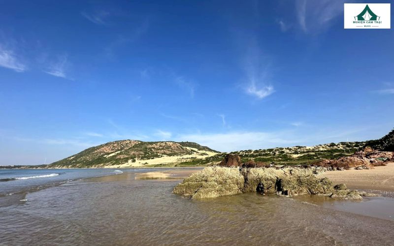 Nếu có dịp hãy một lần ghé đến Mũi Yến