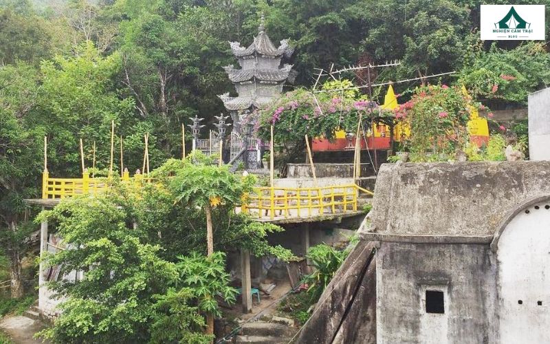 Kinh nghiệm cắm trại núi Chứa Chan và những lưu ý cần biết 14 Chùa Bửu Quang gần điểm cắm trại núi Chứa Chan