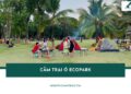 Review cắm trại ở Ecopark: Không gian trọn vẹn cho kỳ nghỉ cuối tuần