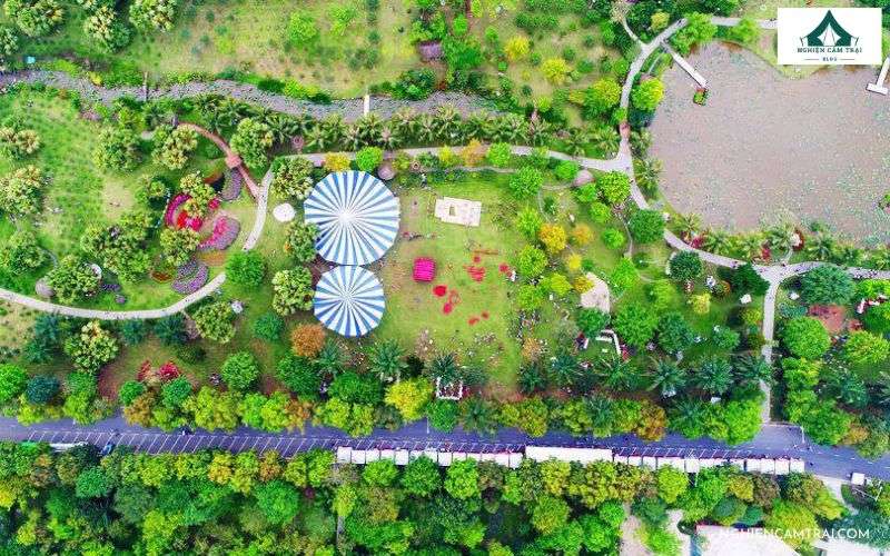 Cắm trại tại công viên mùa Xuân Ecopark