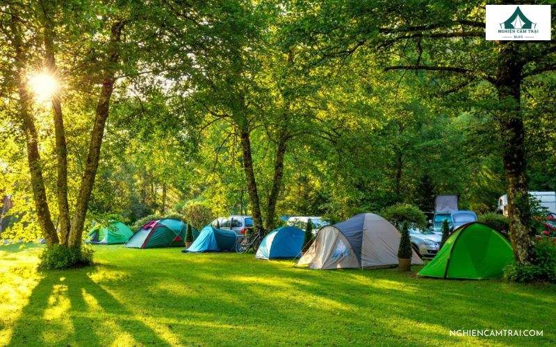 Những lưu ý khi cắm trại qua đêm Ecopark