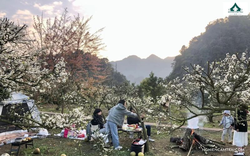 Trải nghiệm cắm trại tại thung lũng mận Nà Ka Mộc Châu 10 Nắm rõ lưu ý khi cắm trại tại thung lũng mận Nà Ka