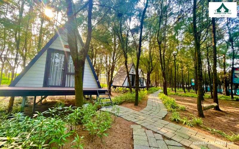 Top 4 địa điểm cắm trại Thái Bình được yêu thích nhất hiện nay 9 Cồn Đen nổi tiếng là điểm cắm trại Thái Bình có cảnh quan tự nhiên hoang sơ cùng những cánh rừng ngập mặn xanh mướt