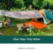 Top 4 địa điểm cắm trại Thái Bình được yêu thích nhất hiện nay 31 Top 4 địa điểm cắm trại Thái Bình view biển đẹp hoang sơ