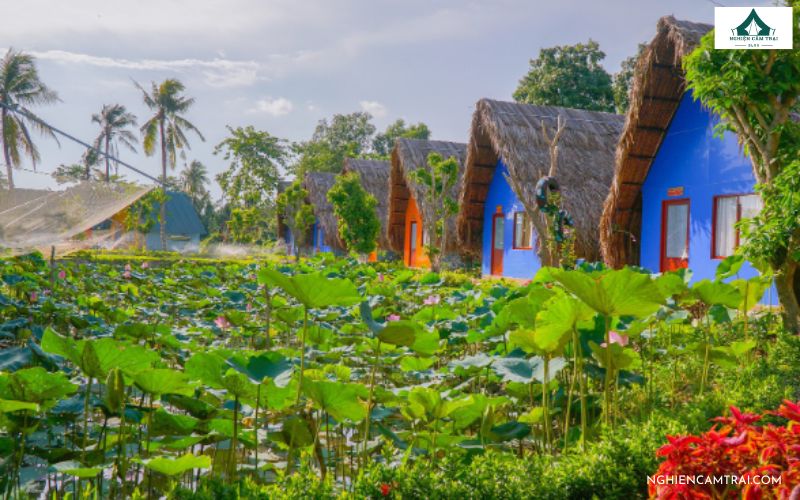 TOP 3 địa điểm cắm trại Vĩnh Long lý tưởng nhất cho bạn 6 cam trai vinh long 2
