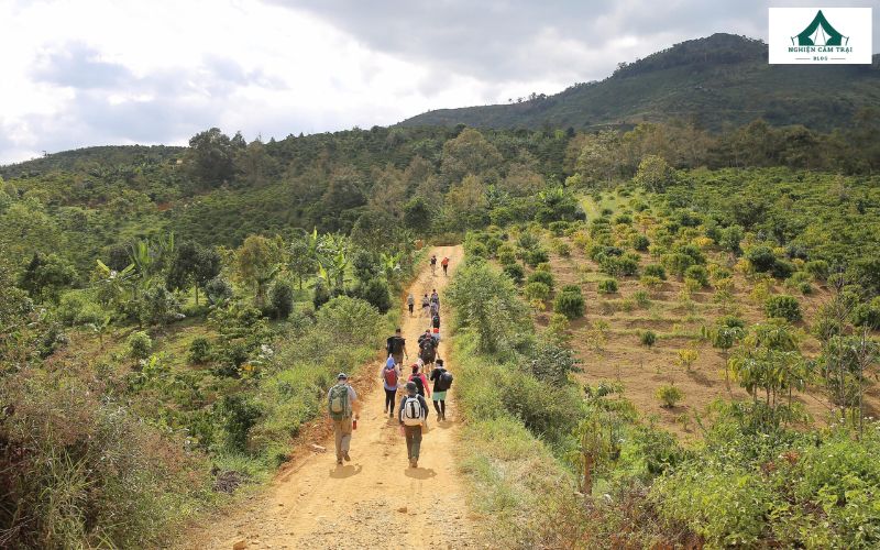 Camping núi Đại Bình: Trải nghiệm săn mây, cắm trại cực chill 11 Đi trekking tại Đại Bình là cách tuyệt vời để hòa mình vào thiên nhiên