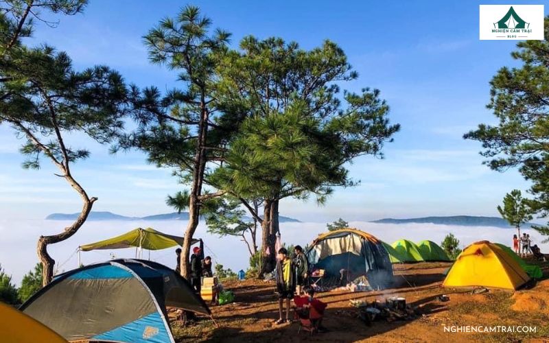 Kinh nghiệm camping Thung Lũng Vàng Đà Lạt cho người mới 9 Giới thiệu về khu cắm trại Thung Lũng Vàng