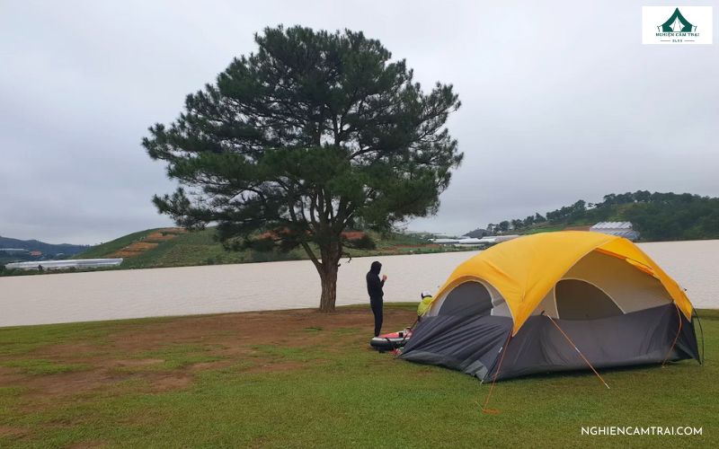 Kinh nghiệm camping Thung Lũng Vàng Đà Lạt cho người mới 13 Check-in cây thông cô đơn