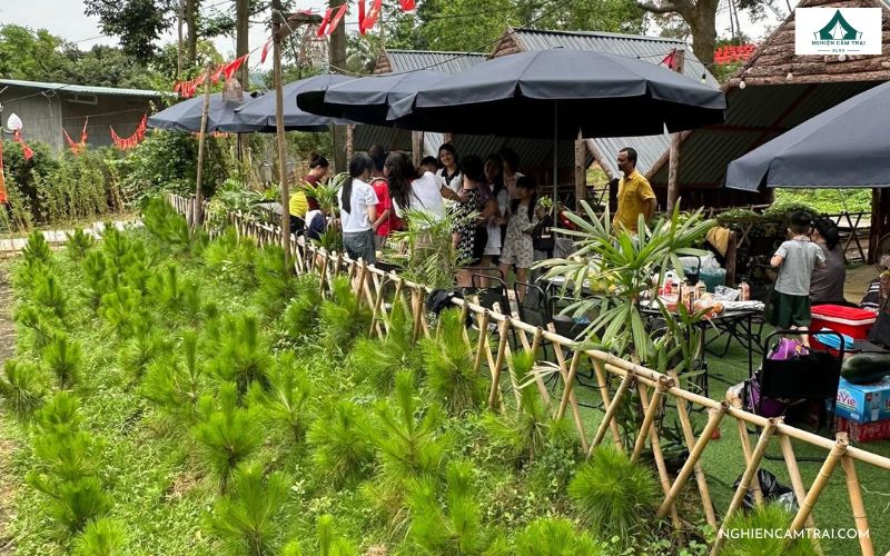 Trải nghiệm Côn Sơn Camping – Điểm cắm trại mới lạ, độc đáo 6 Côn Sơn Camping được nhiều người lựa chọn để dã ngoại