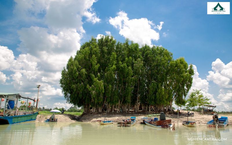 Đảo Nhím Tây Ninh: Điểm cắm trại hoang sơ giữa lòng hồ Dầu Tiếng 6 Đảo Nhím toạ lạc giữa lòng Hồ Dầu Tiếng Tây Ninh
