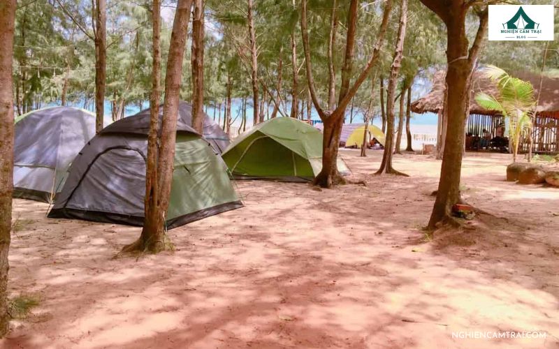 Top 5 địa điểm cắm trại ở Hồ Tràm lý tưởng cho kỳ nghỉ cuối tuần 7 Paradise Vũng Tàu – Khu cắm trại rừng dương ven biển