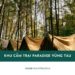 Review khu cắm trại Paradise từ A - Z: Camping view biển cực đẹp 23 Review khu cắm trại Paradise từ A - Z: Camping view biển cực đẹp