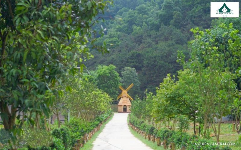 Review My Camping Sóc Sơn - Khu cắm trại giữa rừng thông xanh mát 7 Giới thiệu về khu du lịch sinh thái My Camping