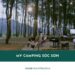 Review My Camping Sóc Sơn - Khu cắm trại giữa rừng thông xanh mát 21 Review My Camping Sóc Sơn - Khu cắm trại giữa rừng thông xanh mát