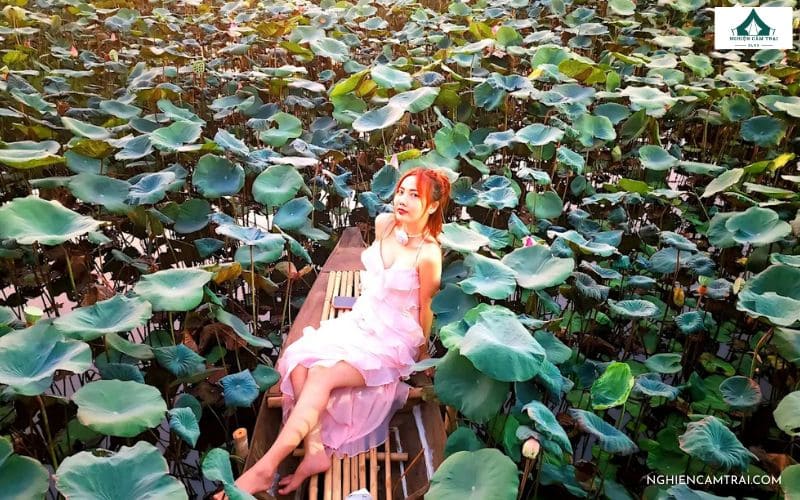 Nàng Sen Camping: Điểm đến ẩm thực & camping cuối tuần cực chill 12 Check-in hồ sen lãng mạn, cực “ăn ảnh” tại Nàng Sen Camping