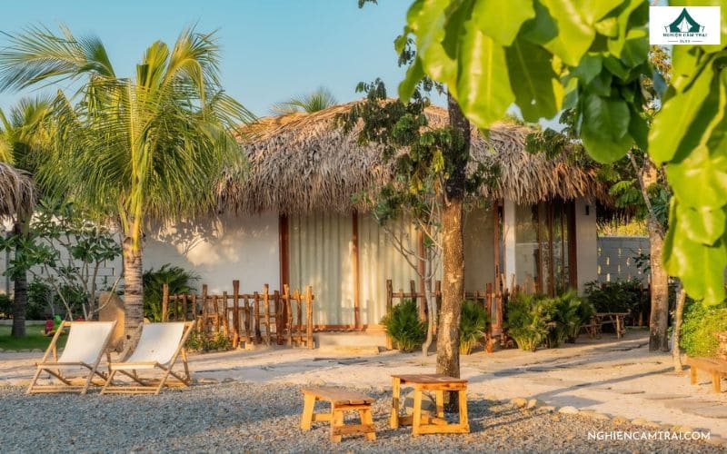 Kinh nghiệm chọn cắm trại ở Olive Camping Bình Thuận