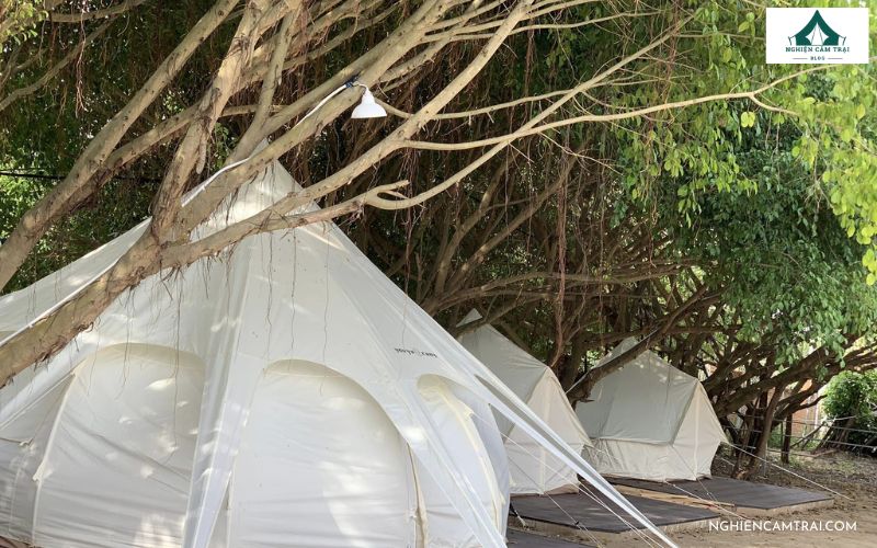 Review Peace Camping Cần Giờ - Trải nghiệm cắm trại ven biển 11 Hòa mình vào thiên nhiên trong lành và không gian biển mát mẻ