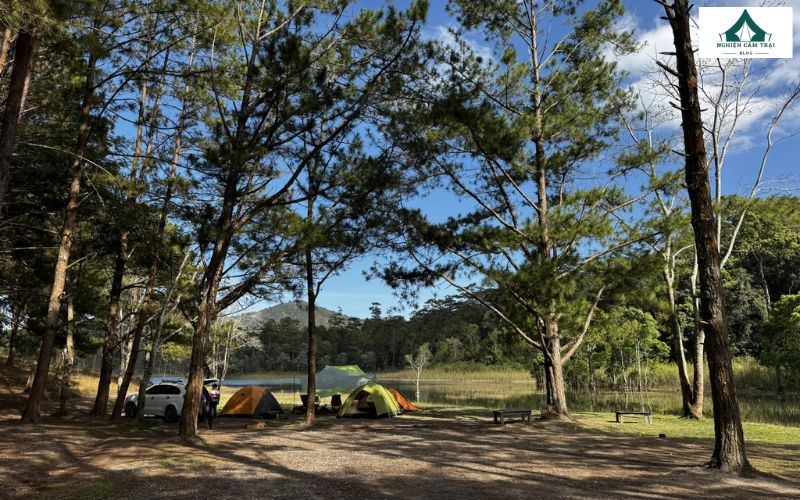 Rừng Lá Phong Camping: Điểm cắm trại thú vị giữa lòng Đà Lạt 8 Rừng Lá Phong Camping là một khu cắm trại nhỏ xinh nằm giữa Đà Lạt