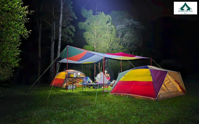 Rừng Lá Phong Camping: Điểm cắm trại thú vị giữa lòng Đà Lạt 9 Trải nghiệm cắm trại qua đêm tại Rừng Lá Phong Camping