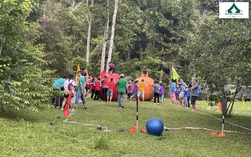 Rừng Lá Phong Camping: Điểm cắm trại thú vị giữa lòng Đà Lạt 13 Tổ chức team building ngoài trời