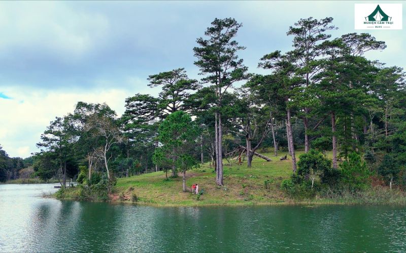 Rừng Lá Phong Camping: Điểm cắm trại thú vị giữa lòng Đà Lạt 14 Rừng Lá Phong Camping mang đến trải nghiệm khó quên