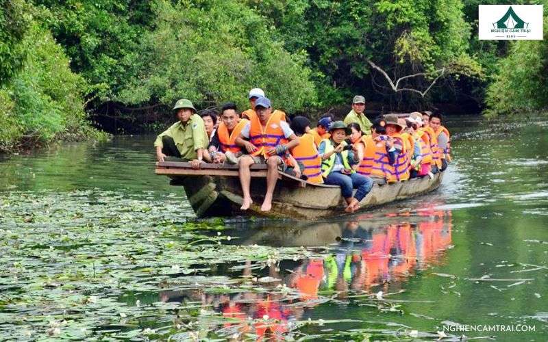 Vườn quốc gia Lò Gò Xa Mát - Hành trình camping đầy hoang sơ 13 Tham quan rừng nguyên sinh Vườn Quốc Gia Lò Gò Xa Mát