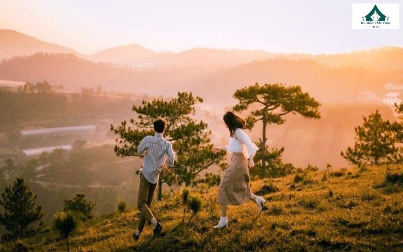 Đồi thông tại khu vực Đa Phú là điểm check-in cực “chill”