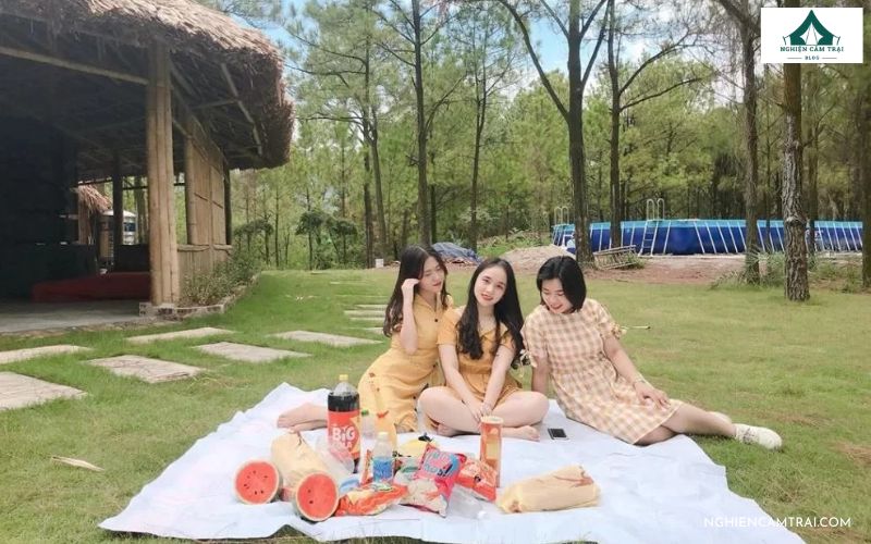 Kinh nghiệm cắm trại Hồ Yên Trung chi tiết cho người mới 10 Cắm trại và picnic trong rừng thông