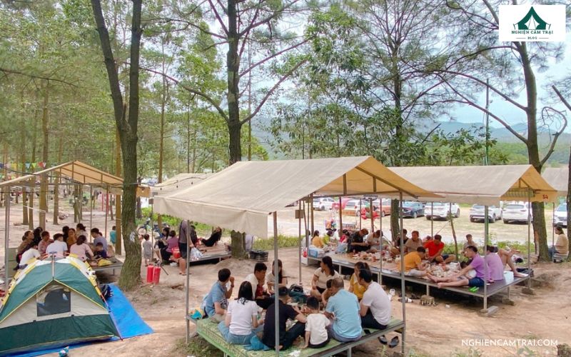 Kinh nghiệm cắm trại Hồ Yên Trung chi tiết cho người mới 11 Check-in tại rừng thông xanh ngút ngàn