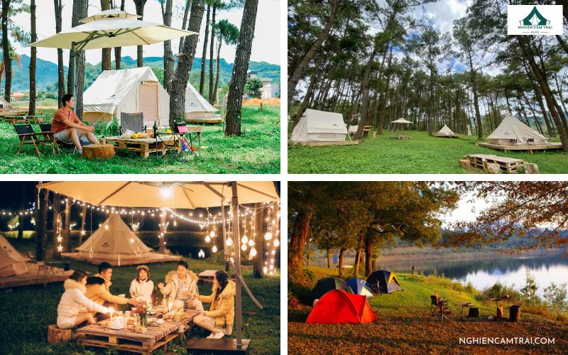 Rừng Thông Bản Áng