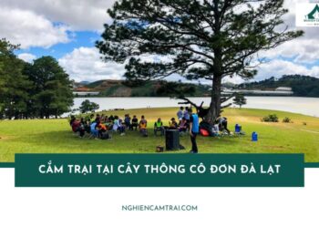 Kinh nghiệm cắm trại tại Cây Thông Cô Đơn Đà Lạt cho người mới 20 Cắm trại tại Cây Thông Cô Đơn Đà Lạt