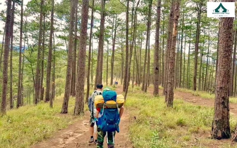 Cắm trại tại Langbiang: Kinh nghiệm và những lưu ý quan trọng 10 Hành trình trekking luôn là trải nghiệm thú vị