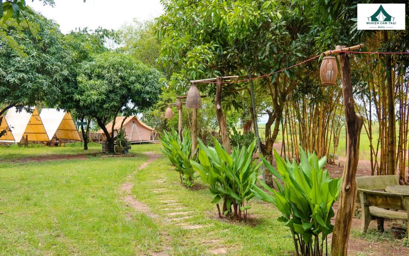 Trải nghiệm cắm trại bên bờ Hồ Trị An kết hợp với chèo SUP và đạp xe xuyên rừng tại Meeto Camping 