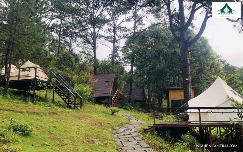 Ajisai Camping Resort - khu glamping phù hợp cho những ai thích cắm trại trong không gian rừng núi