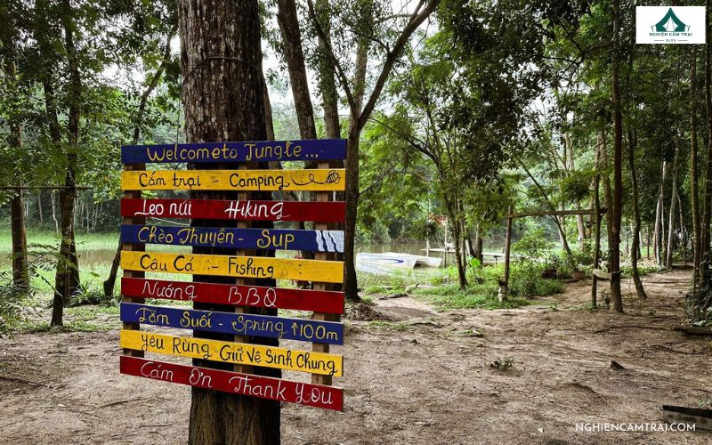 Giới thiệu về khu cắm trại Ong Rừng Camping