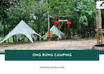 Ong Rừng Camping