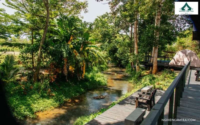 Đôi nét về khu cắm trại Suối Camp Bà Rịa – Vũng Tàu