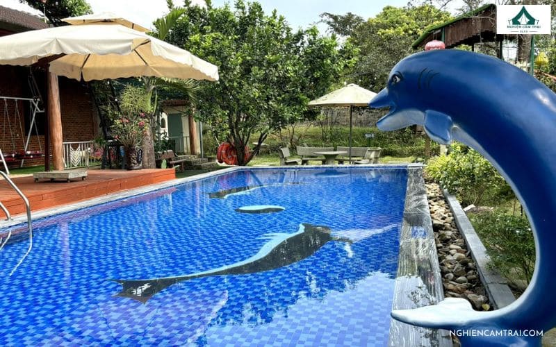 Vườn Nhà Camping: Chốn "trốn" yên bình giữa lòng Hòa Vang 7 Hồ bơi xanh mát với thiết kế cá heo độc đáo mang đến không gian thư giãn gần gũi thiên nhiên tại Vườn Nhà Camping