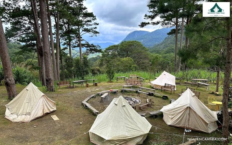 Review Ajisai Glamping – Khu Glamping yên bình tại Đà Lạt 8 Giới thiệu về khu cắm trại Ajisai Glamping