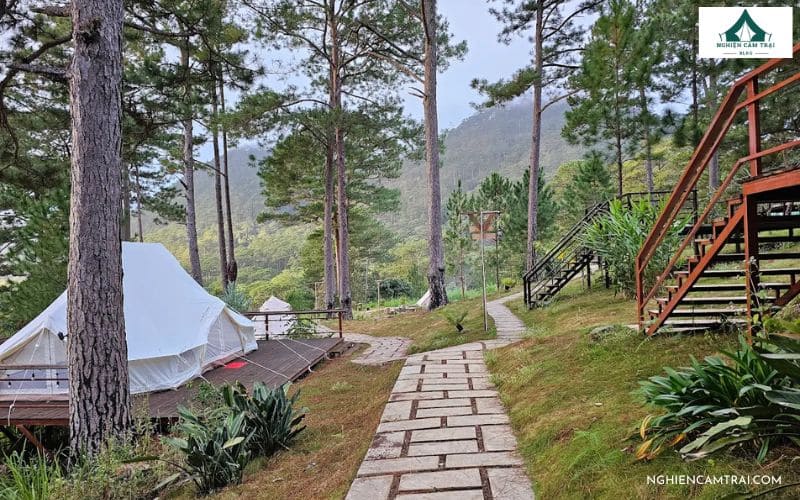 Review Ajisai Glamping – Khu Glamping yên bình tại Đà Lạt 10 Không gian nghỉ dưỡng yên tĩnh giữa rừng thông