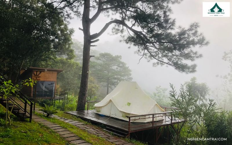Review Ajisai Glamping – Khu Glamping yên bình tại Đà Lạt 14 Lều Mông Cổ lớn
