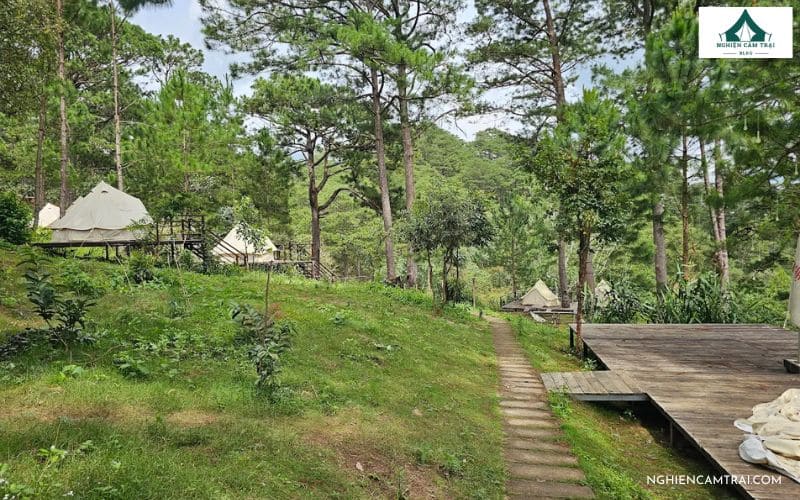 Review Ajisai Glamping – Khu Glamping yên bình tại Đà Lạt 9 Khung cảnh xanh mát, bình yên tại Ajisai Glamping
