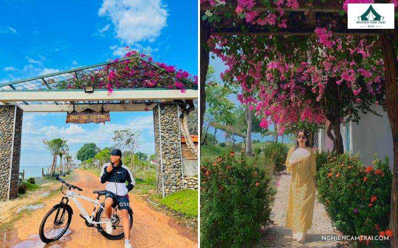 Review Bằng Lăng Glamping – Khu nghỉ dưỡng bên hồ Dầu Tiếng 11 Chụp ảnh với cảnh quan thiên nhiên tuyệt đẹp tại Bằng Lăng Glamping