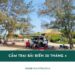 Cắm trại bãi biển 30 tháng 4 - Tọa độ camping Cần Giờ lý tưởng 17 Cắm trại bãi biển 30 tháng 4 - Tọa độ camping Cần Giờ lý tưởng